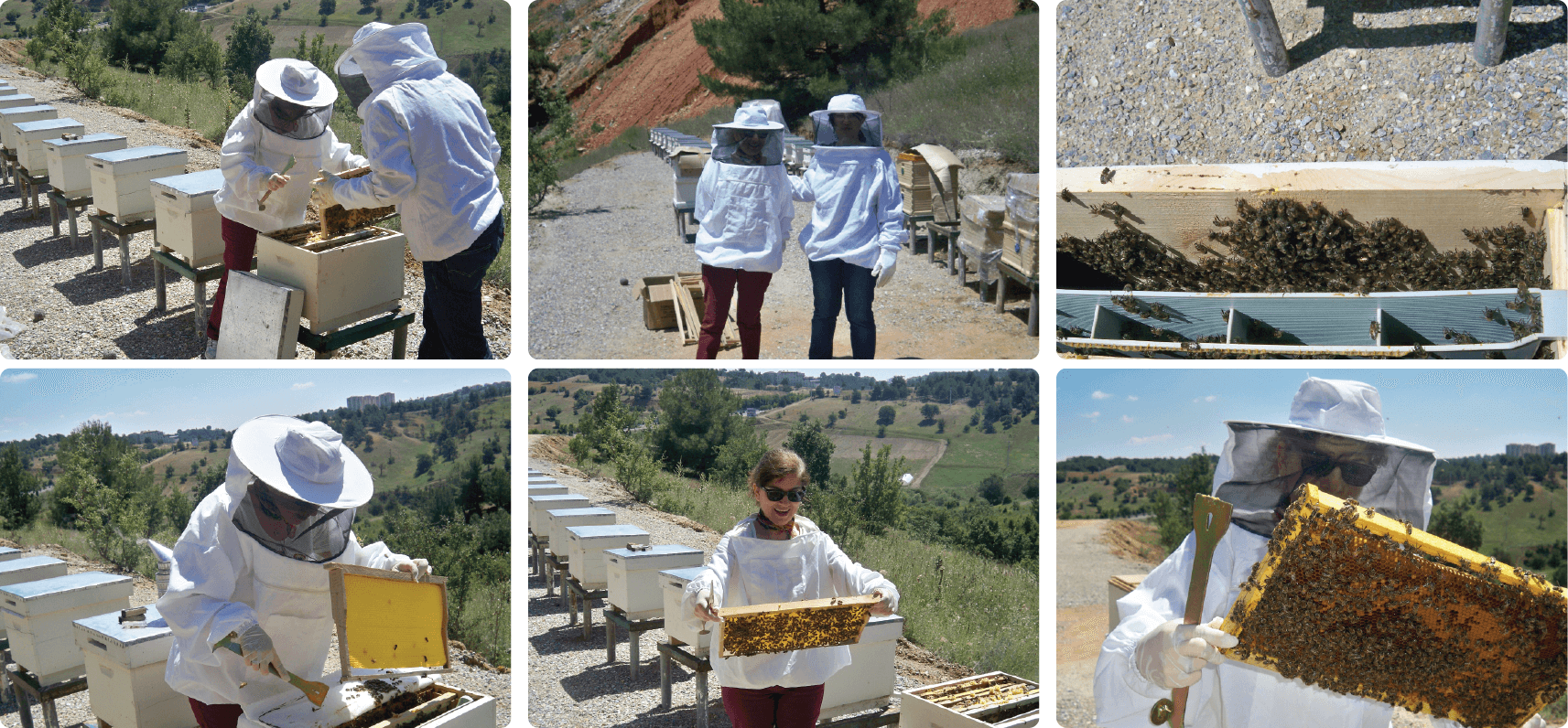 Uşak Üniversitesi Yerleşkesi